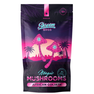 African Goliath Magic Mushrooms