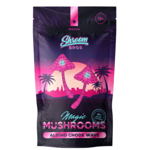 Albino Chode Wave mushrooms