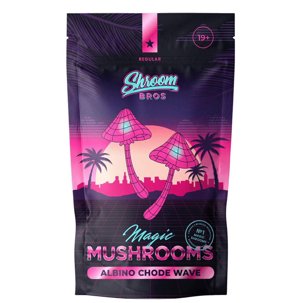 Albino Chode Wave mushrooms