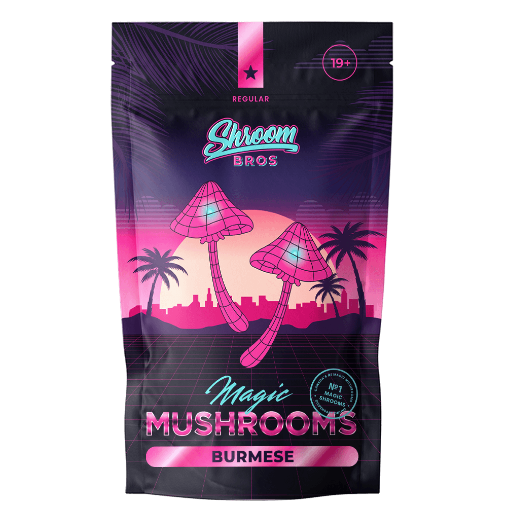 Burmese magic mushrooms