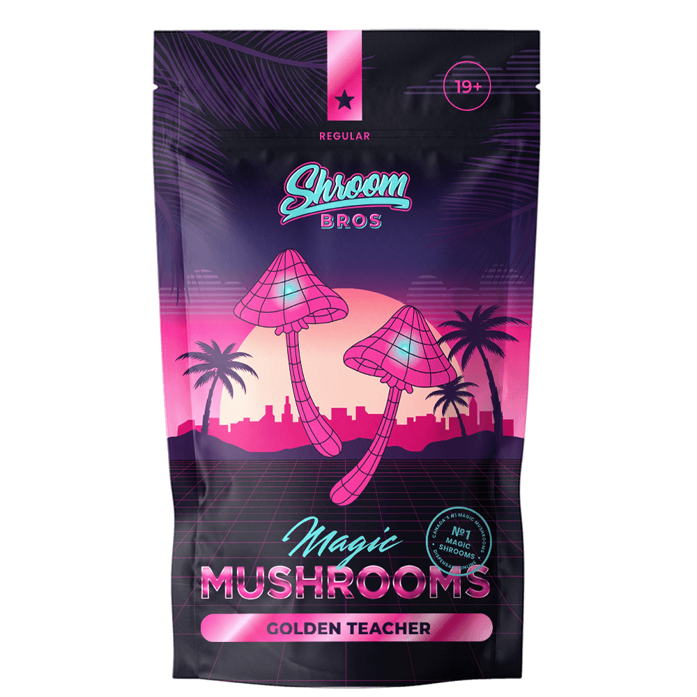 Buy Golden Teacher Shrooms