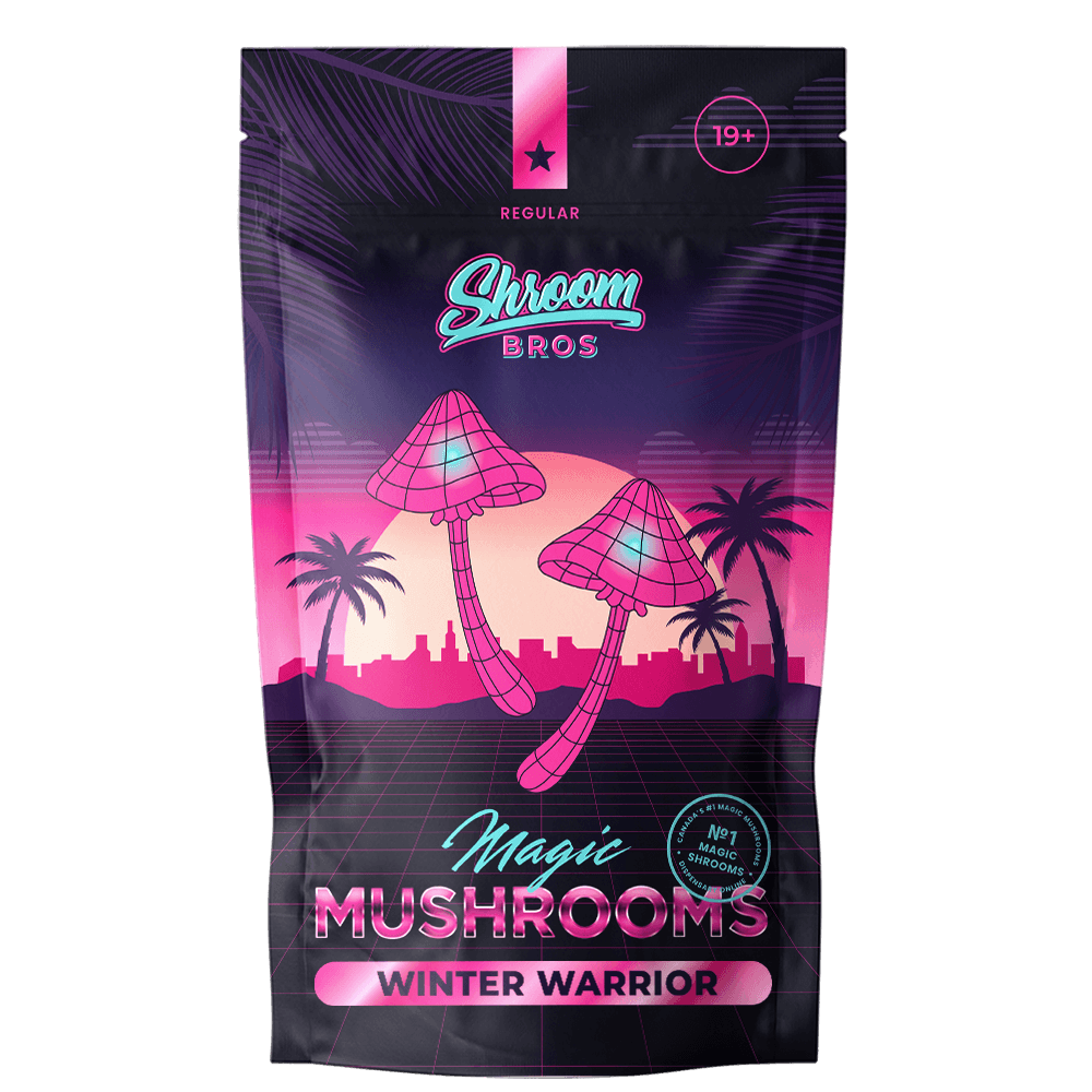 Winter Warrior magic mushrooms